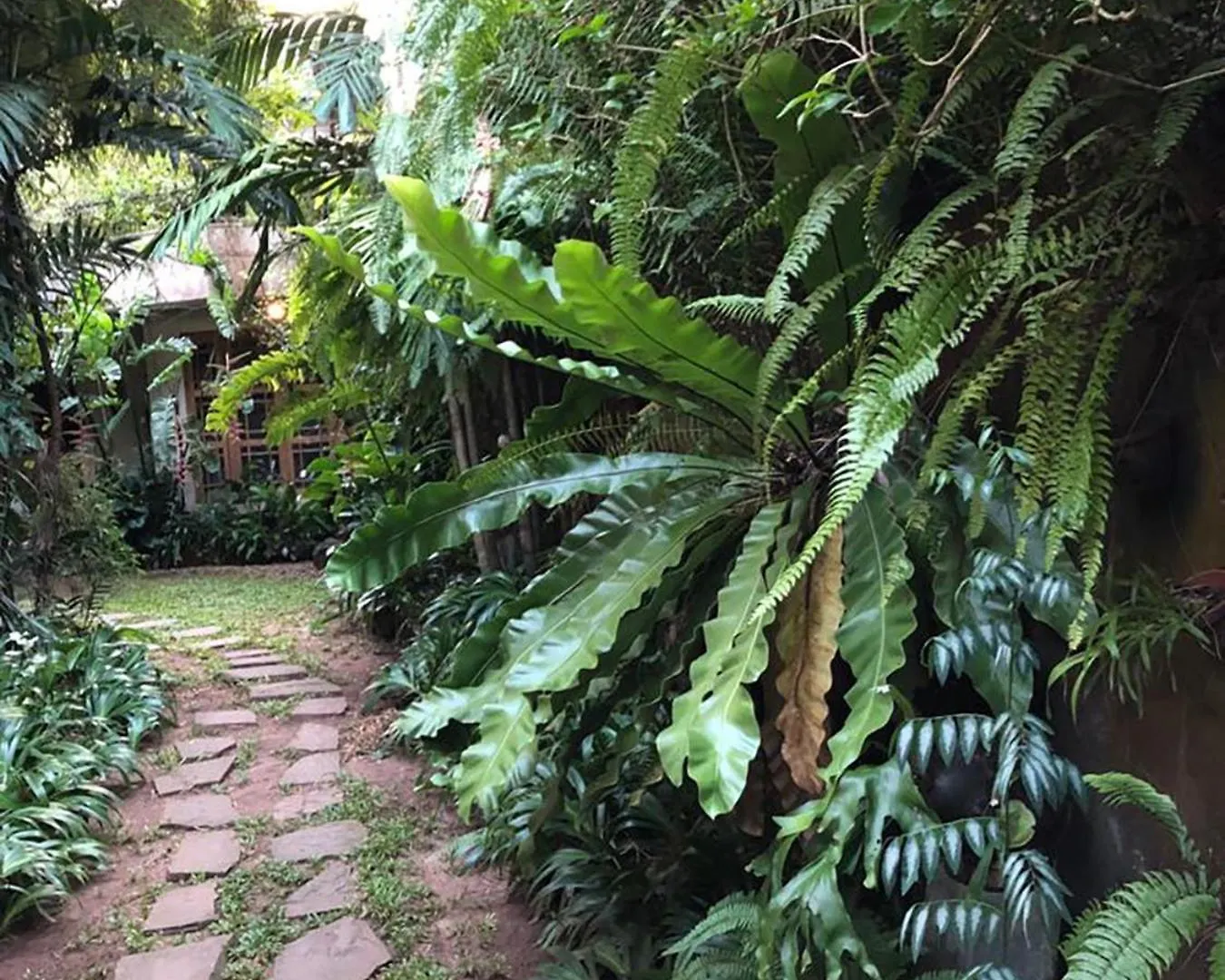 Highbury Colombo Apartment Homestay