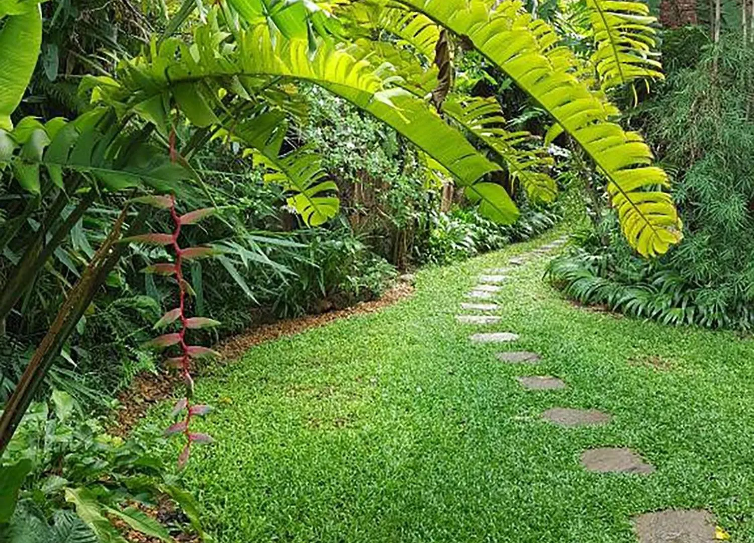 Homestay Highbury Colombo Apartment