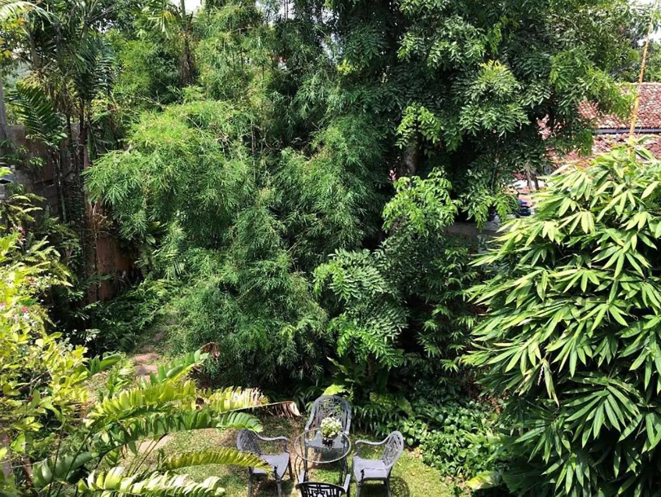 Homestay Highbury Colombo Apartment Sri Lanka